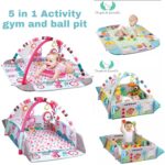 5 in 1 Activity Gym & Ball Pit