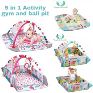 5-in-1-activity-gym-ball-pit