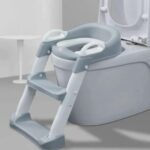 Toilet Ladder
